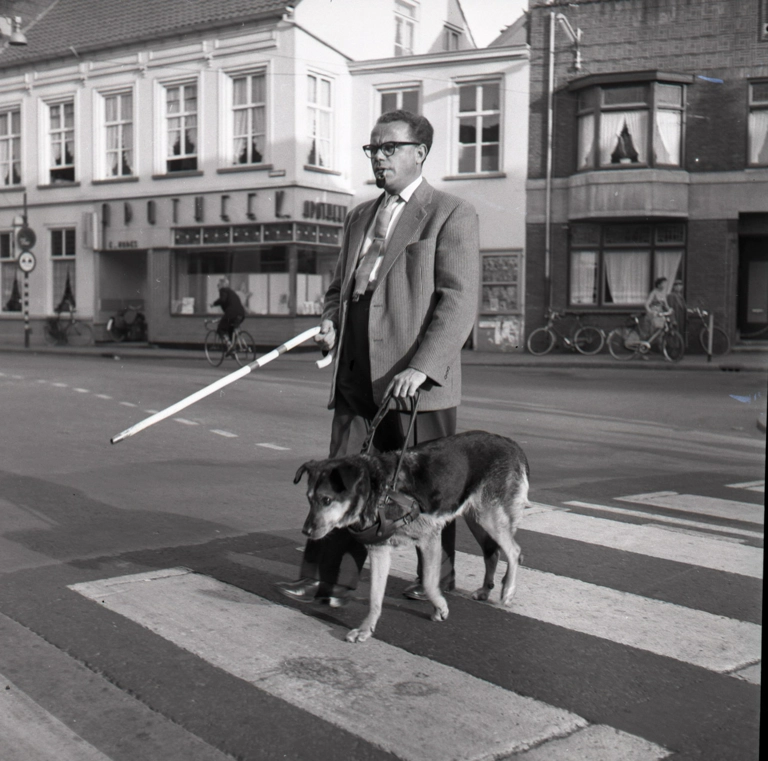 Zwart-wit foto uit 1950 uit het Regionaal Archief Tilburg. Een witte man van middelbare leeftijd met een pak, donkere bril en pijp in zijn mond steekt een zebrapad over met hulp van een geleidehond en taststok.